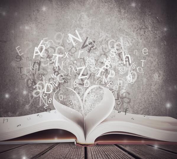 View image on Twitter