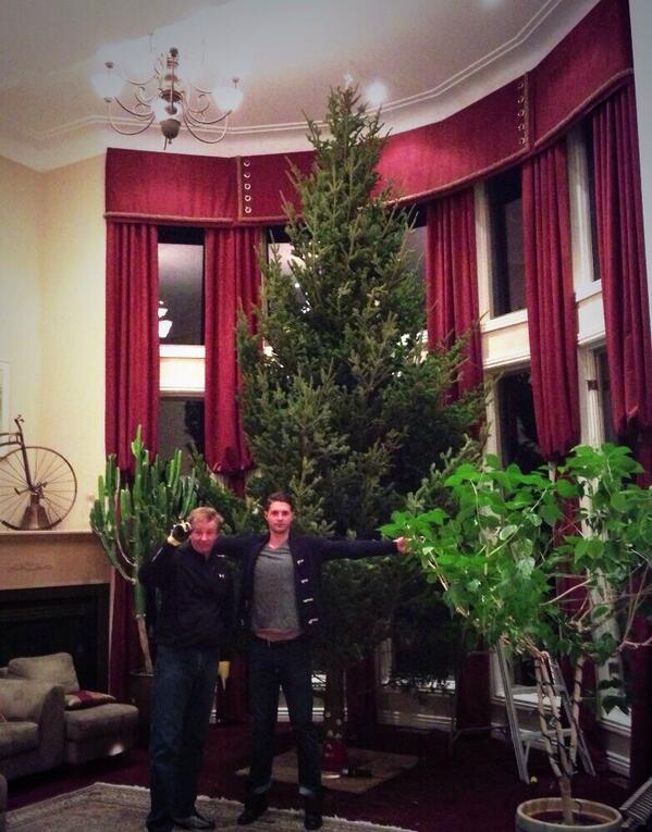 _TaraNosal's tweet photo. Biggest Nosal Christmas tree ever 🎄🎅🎁 keeping in mind my brother is 6ft2inch http://t.co/TSBrkGwdPx