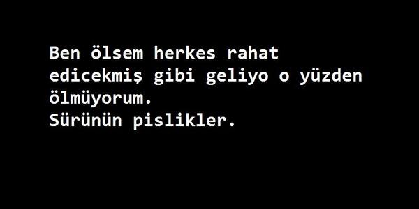 SÜRÜNÜN PİSLİKLER