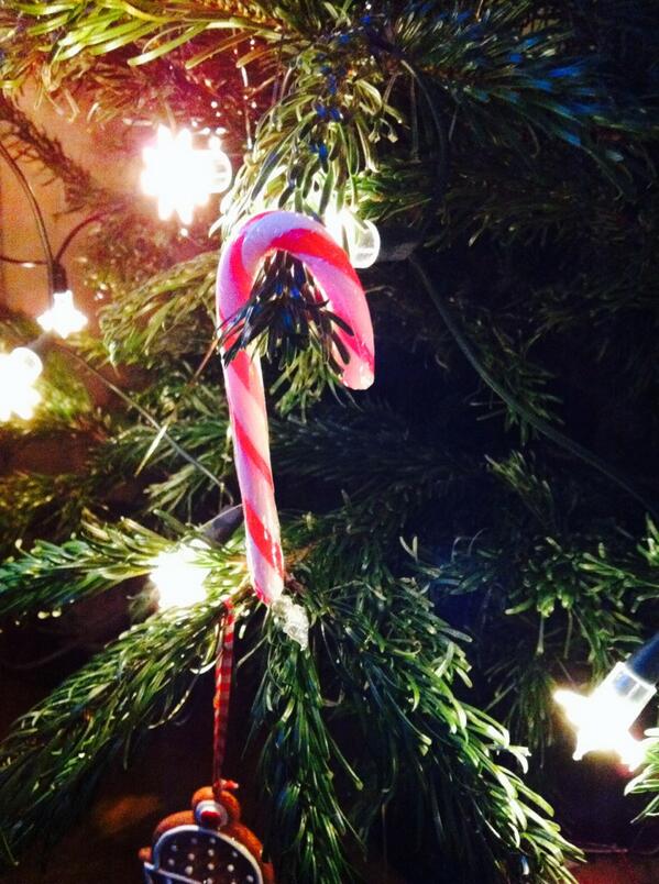 WhitstaWebcam's tweet image. @HomeHalos thank you the kids (&amp;amp; me!) love them!!