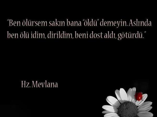 Mevlanakulubu's tweet photo. 17 Aralik 1273 Mevlana Celaleddin Rumi Hazretlerinin vefatı... Rahmetle anıyoruz... http://t.co/BC0uqXqAwB