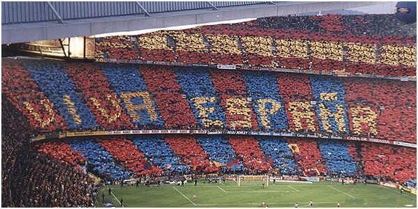 REAL MADRID ™ tweet media