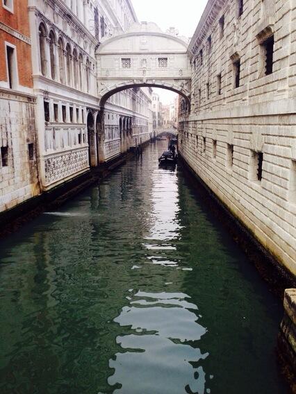 annie_hibberd's tweet photo. Venice is lush http://t.co/ZBIwWLhuj0