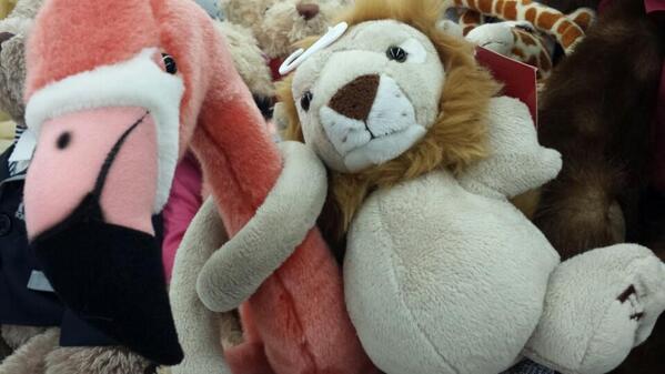 Arguelles Cares tweet media