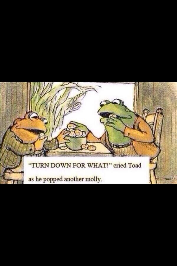 Animalizations's tweet image. 