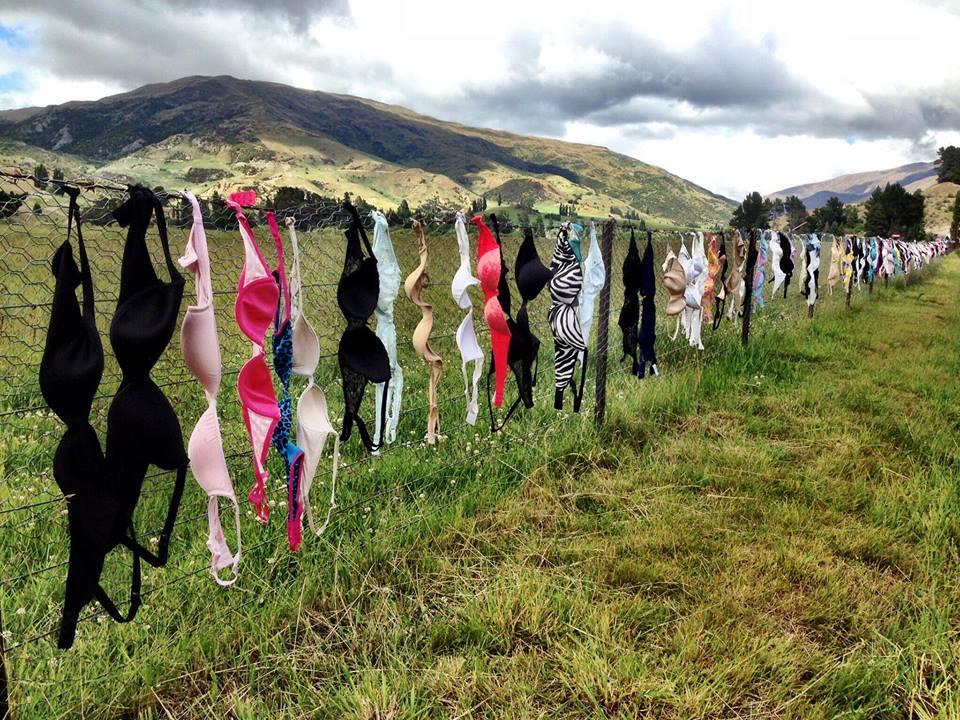 La Cardrona Bra Fence: un altro uso creativo del fil di ferro, ci sono molti reggiseni appesi