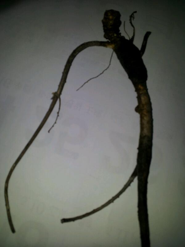 ptj7194's tweet photo. http://t.co/3kPmXp0glK