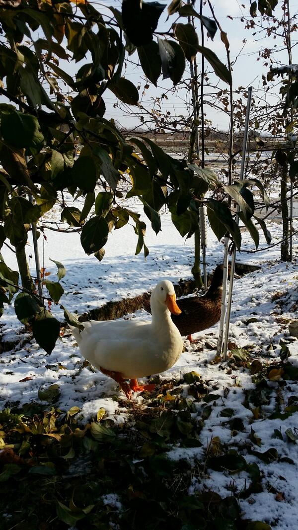 pgo1125's tweet photo. 이이발시려워~~~ㅎㅎ http://t.co/214Kqgr03n
