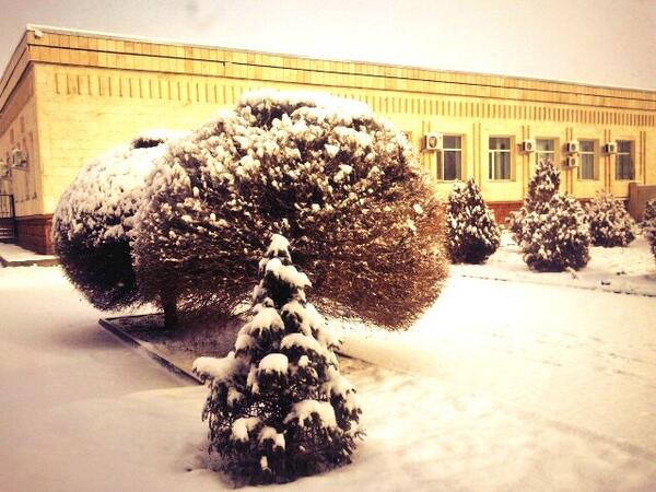 Khorgosster's tweet photo. Тем временем в Хоргосе снек снек #китай #хоргос #khorgos http://t.co/fRNBHM0tvb