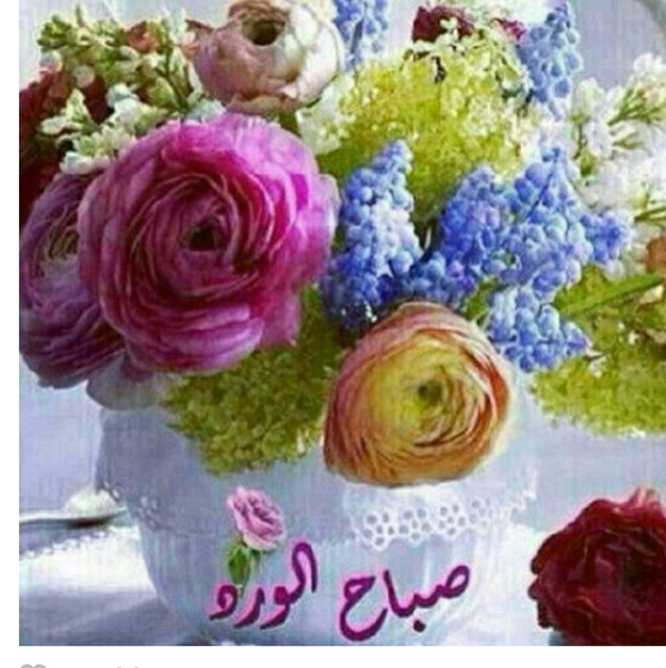 anhf99's tweet photo. صباح الورد http://t.co/tZkYEDE82P