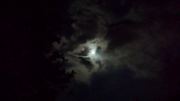 Took this last night. The moon is always beautiful :)