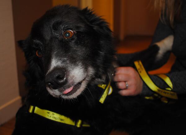 This Morning tweet media