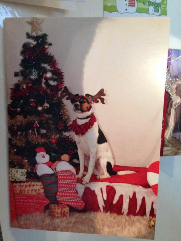 Molly__78's tweet photo. Love our Xmas card :) @mattdmolloy @MolloyMegan @Jax_1976 @jamie_m99 http://t.co/5Yv5aAZtt4