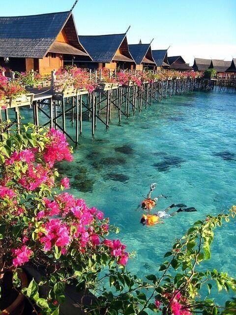 rybotics's tweet photo. Tahiti http://t.co/SS1SSSey7h