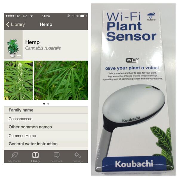 czechman45's tweet image. Senzor na pěstování rostlin. A třeba i trávy. #koubachi #plantsensor