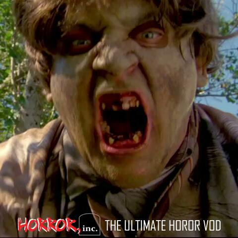 Horror Inc tweet media