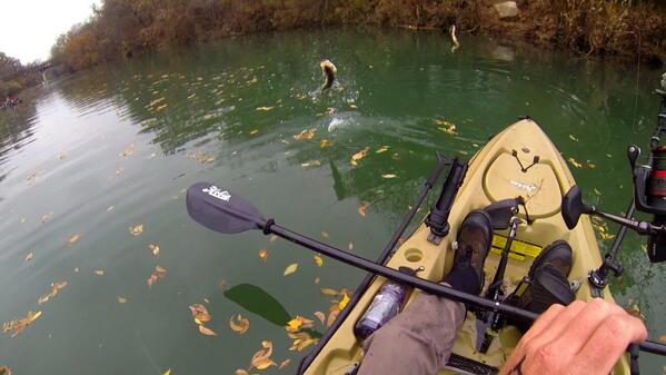 YakFishField's tweet image. Keeping your rod tip down during the fight will make feisty bass jump less, meaning less spit hooks. @BassFishnTips