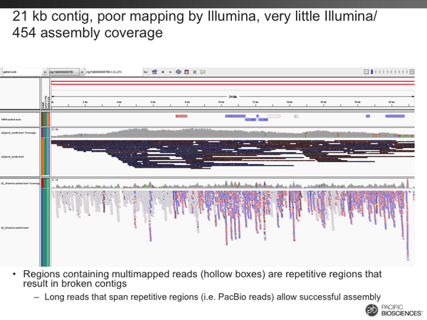 lawrencehon's tweet photo. @ctitusbrown Repetitive region w/ uniquely mapping PacBio long reads and fragmented Illumina/454 contigs #UCDAssemble http://t.co/BzTkDWeuFk