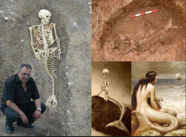 miilkkk's tweet photo. TOLD YOU MERMAIDS EXIST http://t.co/5ie7T3MiXh