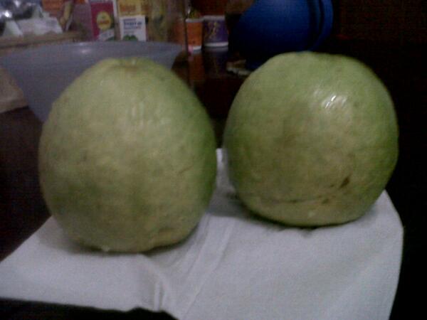 Bagi sini dooonk :9. RT"<a href="/iinw1980/">iinwahyudi</a>: <a href="/IDberkebun/">Indonesia Berkebun</a> <a href="/BdgBerkebun/">Bandung Berkebun</a>; udah mateng nii, pagi2 langsung petik.. "