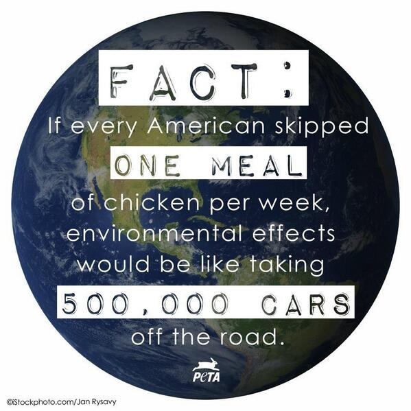 Be_A_Vegetarian tweet picture