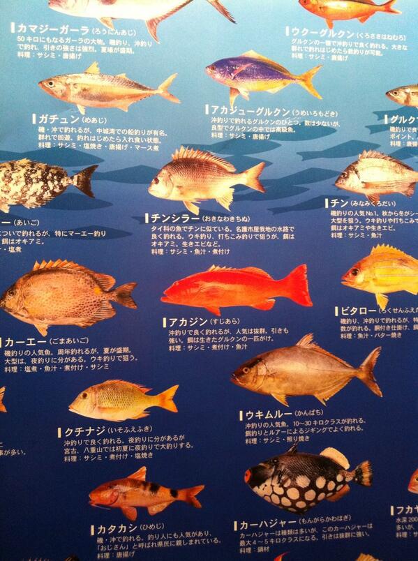 雲丹亀卓人 寿司屋のトイレに貼ってたポスター 沖縄のお魚図鑑に アジカン ってあった気がして二度見したら気のせいだった Http T Co Xj7c3asqco Twitter
