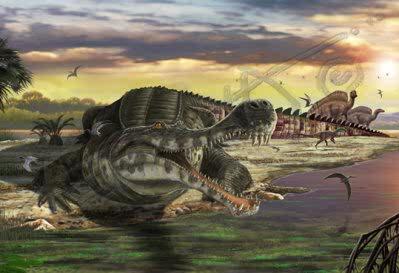 christian_renno's tweet image. 