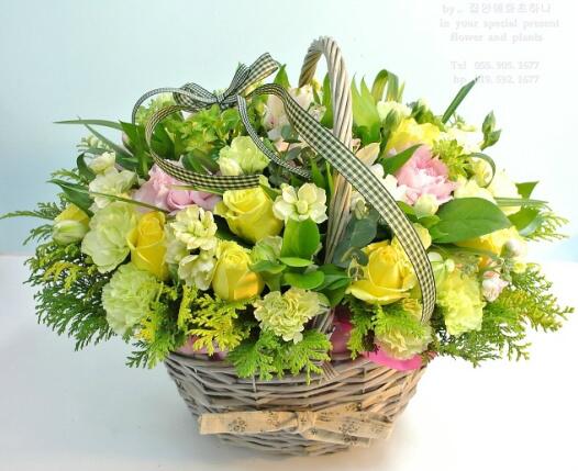 노란장미로 만든
사랑을 위한 꽃바구니 선물.
순수한 사랑을 위하여..
blog.daum.net/toto9018/14879…
.