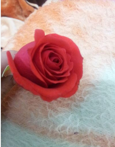 DSamarly tweet picture