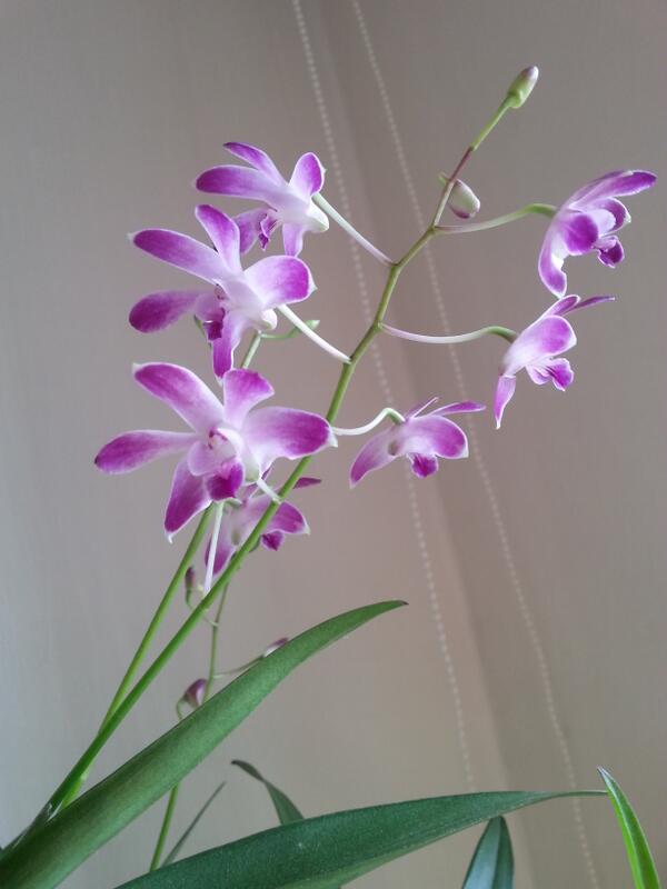 새해 건강하시고 복 많이 받으세요^^