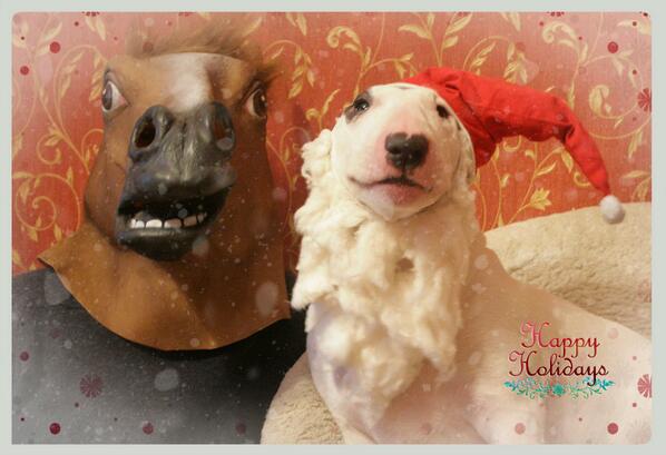 Bule4karu's tweet photo. Happy Holidays to all ya! http://t.co/F6qiHyZ99A