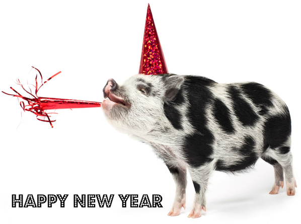 How are you welcoming 2014?
