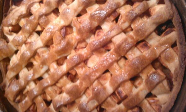 Bloem & Schik Schuur (@bloemenschik) on Twitter photo 