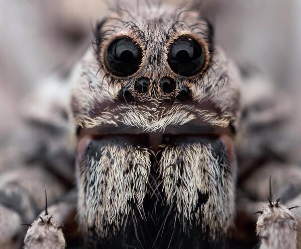 LittleOceanBlue's tweet image. @SonnOfHades