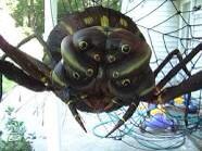 LittleOceanBlue's tweet image. @SonnOfHades