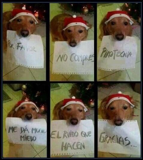 LoMejorDeFB's tweet photo. Para la celebración de esta noche http://t.co/x5s75L5flx