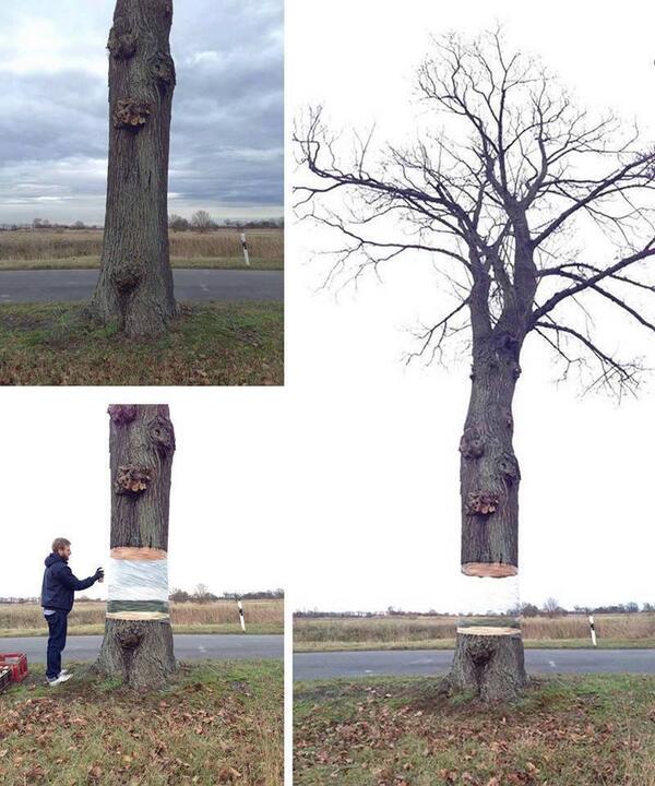HergunYeniBilg's tweet photo. İşte gerçek sanat eseri ! http://t.co/qf5MAYwQLA