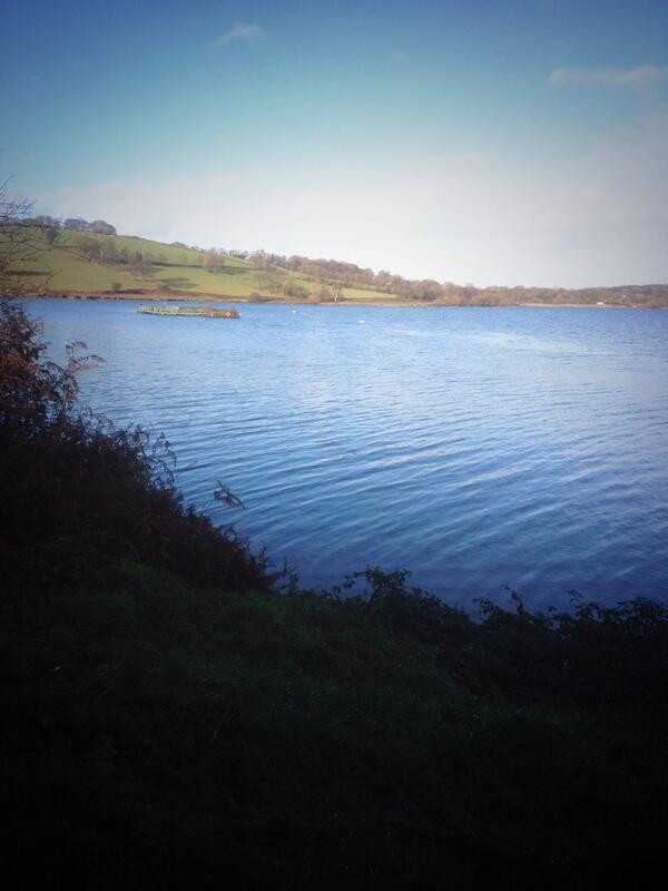 Celynentwitcher's tweet photo. Well turned in a nice outing after all. Visited Llandegfedd Res, seen a few coromants &amp; 2 buzzards. Great afternoon. http://t.co/dBZCEc05Bv