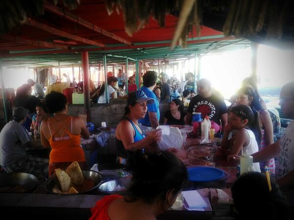 FreNelGo's tweet image. 