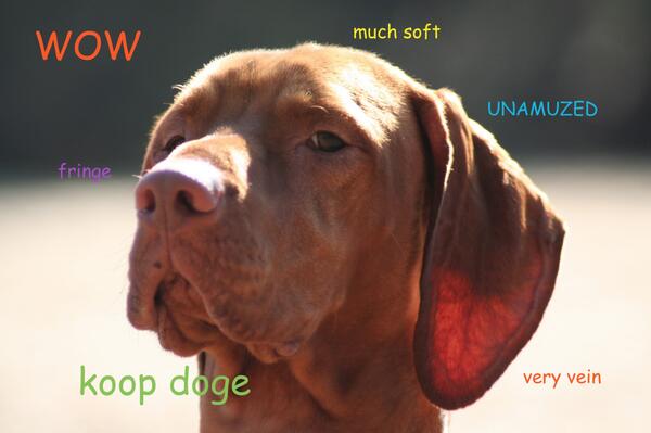 kooper's tweet photo. http://t.co/v2LCpQ3TZR