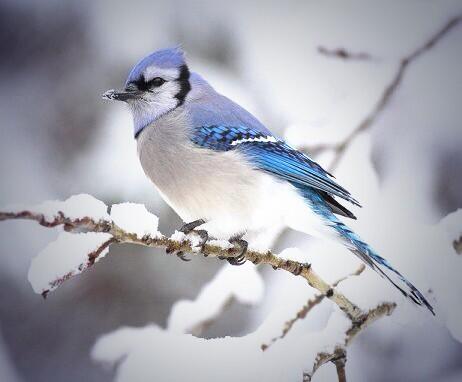 . الكَلِمة الطيّبة ؛
طائرٌ جَمِيل مَا أنْ تُطلق سَراحه مِن لسَانك ، سَيُغرد فِ صُدورِ الاخِرينْ' .•❤️