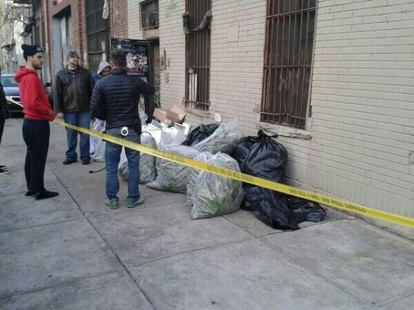 ClintonHillHQ's tweet photo. Major Weed growing bust now in Williamsburg on Spencer St. http://t.co/STdLYN5WK9