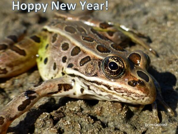 Early registration for the 2014 conference ends Monday. Save at 123signup.com/calendar?Org=t….