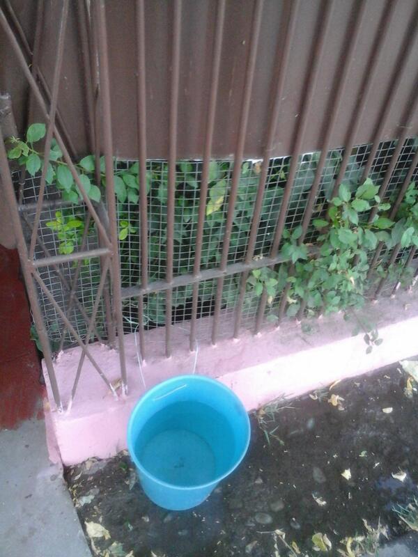 meryth_20's tweet photo. #aguaparaunperro http://t.co/IxlX0HRxXs