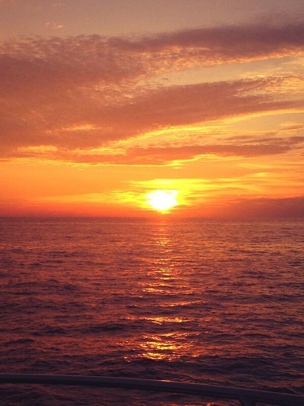 danymateos's tweet photo. Ultimo dia del año. Viendo ballenas y delfines en el ultimo sunset. 🐬🐳☀️ http://t.co/wq4vtbPSvO