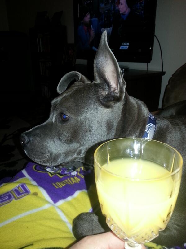 HottAssMoen's tweet photo. #NYE family's sleeping, bringing in #HumpDay2014  with a mimosa, my Pitbull, and #NBCNYE with #carsondaly #janelynch http://t.co/m69vHiUtRw