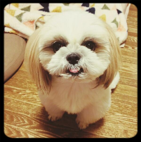 cafebarfourtune's tweet photo. @makuiga2 明けましておめでとうございます！今年もよろしくです‼あれから、どいちゃんハネムーンが頭の中でグルグルまわってます。 http://t.co/W7ymOPEKkX