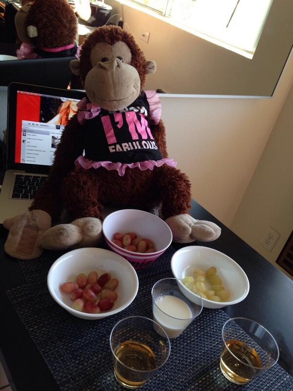 salvajemonroy's tweet photo. FELIZ AÑO🎉.Con mami y mi tia Mari me voy a zampar las uvas en Hollywood! Eso si a mi me toca brindar con leche😁🎉🇺🇸🐵 http://t.co/dIgrUjEOeu