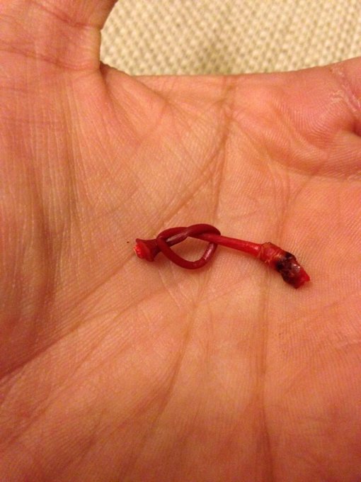 Rt your triumphs and prove your skills!! http://t.co/D8czu6pthg<a href="/tag/newprofilepic"class="tags"><span>#newprofilepic</span></a>