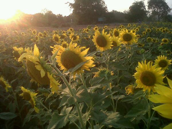 benceid4's tweet photo. http://t.co/pgK31r93UT